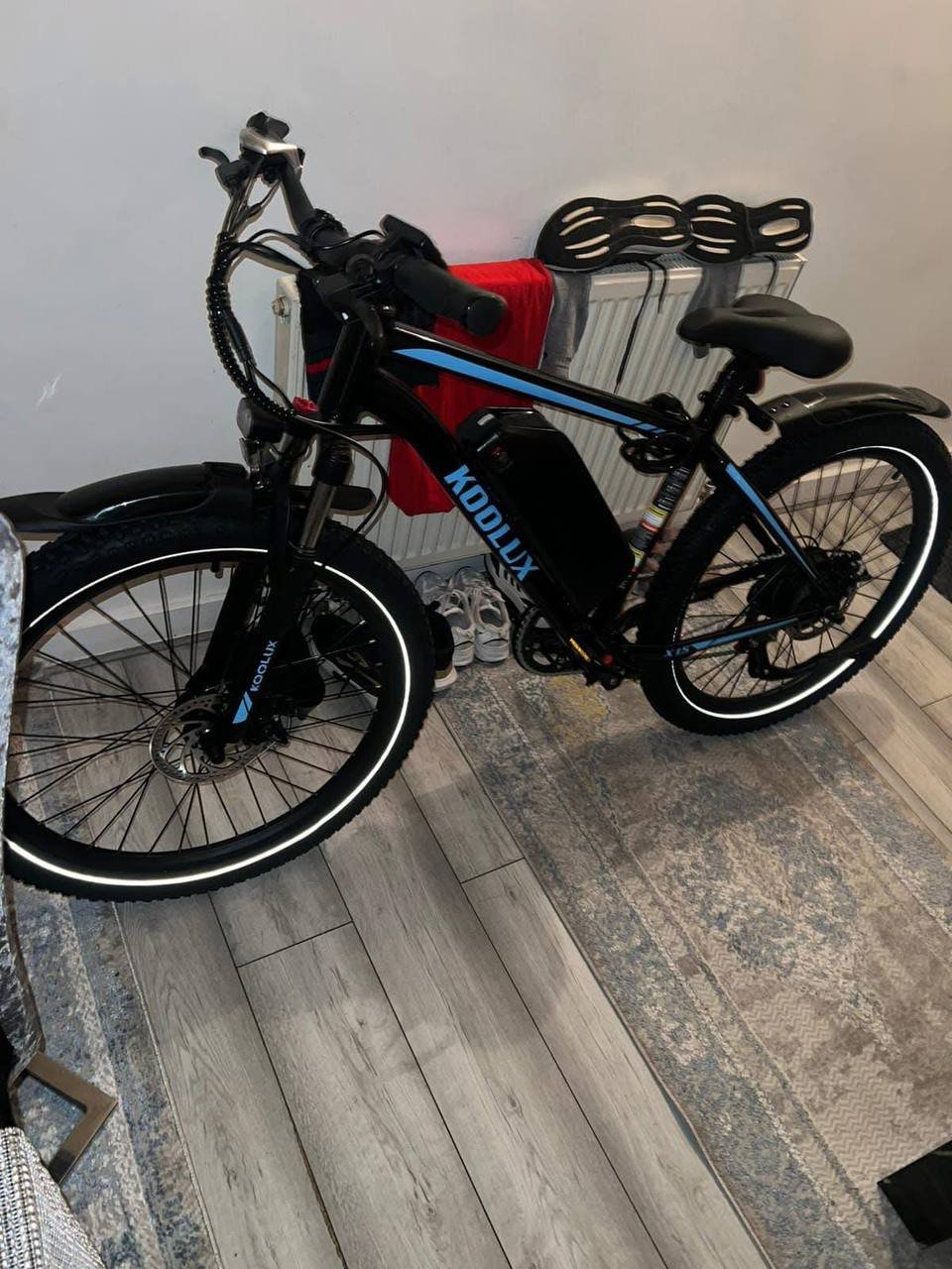 Buy Electric Bike Online - Image 3